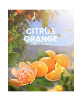 Чайна суміш 420 Tea Апельсин Мандарин - Citrus orange